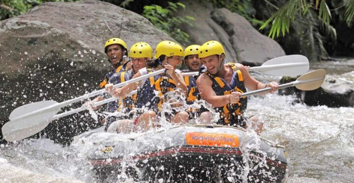 Bali: Ayung River Premium White Water Rafting With Lunch - Experience Highlights