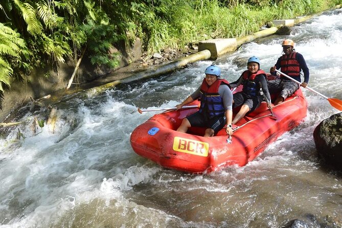 Bali Ayung River Small-Group Whitewater Rafting Tour (Mar ) - Expectations and Physical Requirements