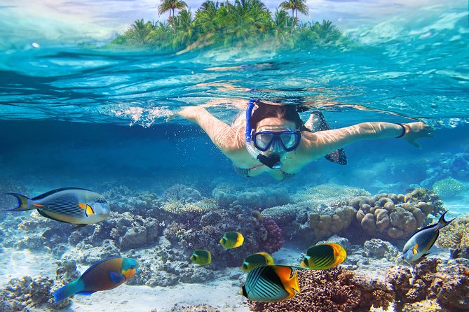 Bali Blue Lagoon Snorkeling Experience - Additional Information and Requirements