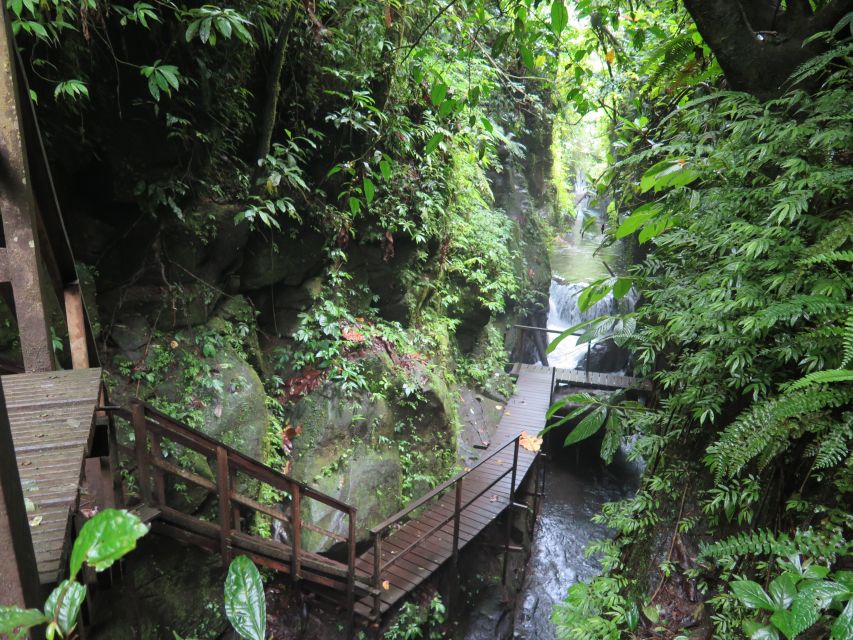 Bali: Canyon Tubing Adventure - Experience Highlights