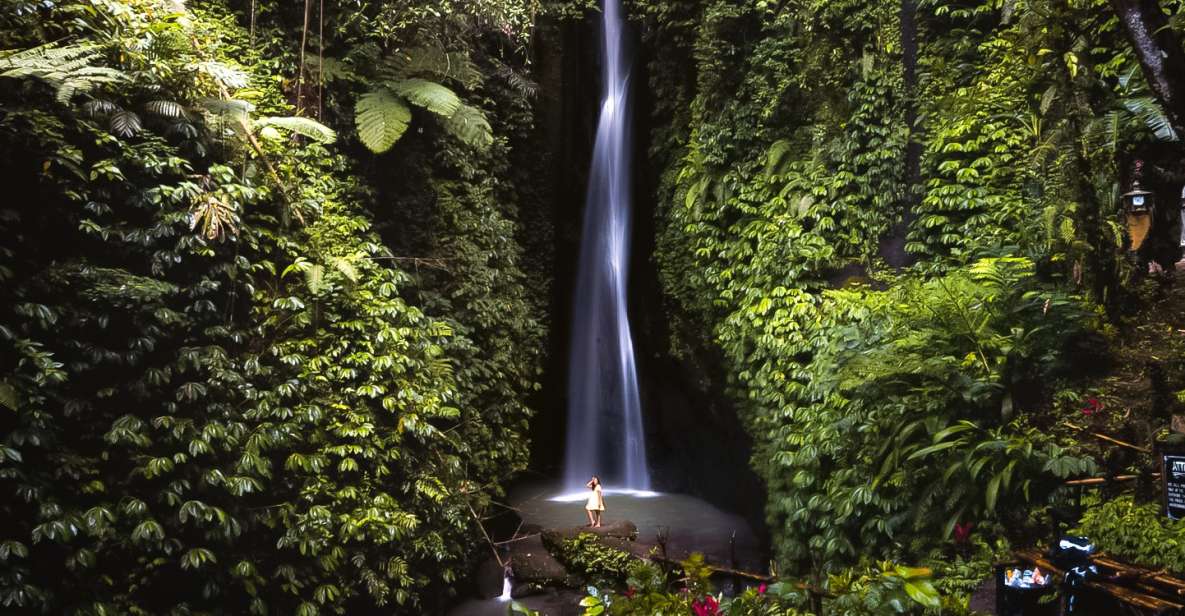 Bali: Leke-Leke Waterfall, Monkey Forest & Jungle Swing Tour - Experience Highlights