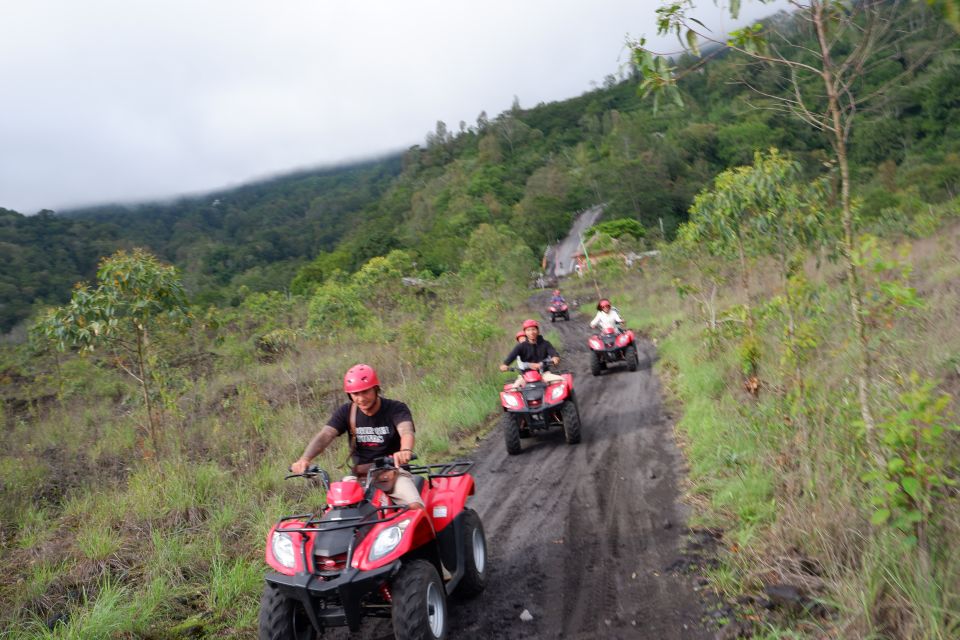 Bali: Mount Batur Quad Bike Tour and Natural Hot Springs - Activity Highlights