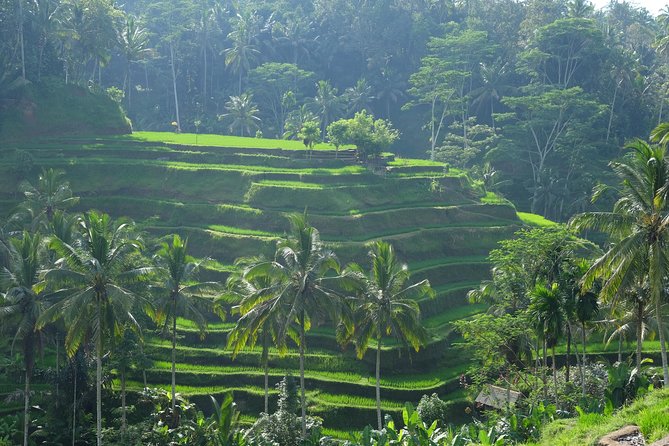 Bali Private Car Charter - Traveler Experiences