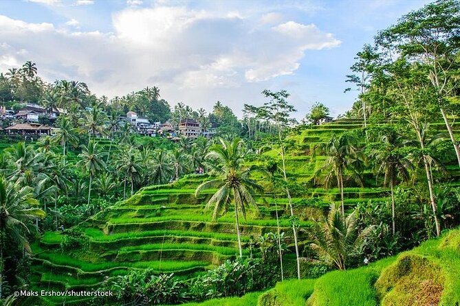 Bali Private Inclusive Tour: Best of Ubud in a Day - Inclusive Features