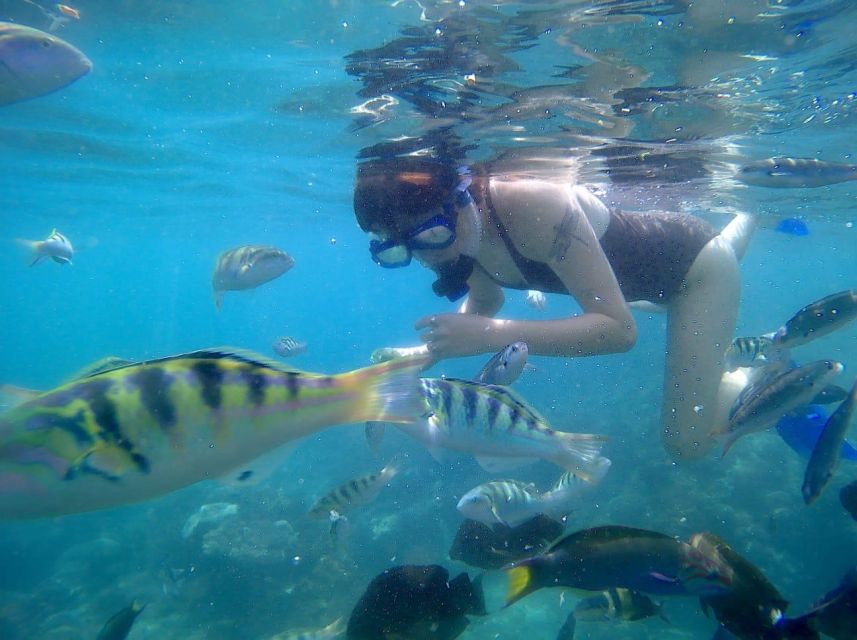 Bali: Private Snorkeling To Blue Lagoon And Tanjung Jepun - Snorkeling Spots