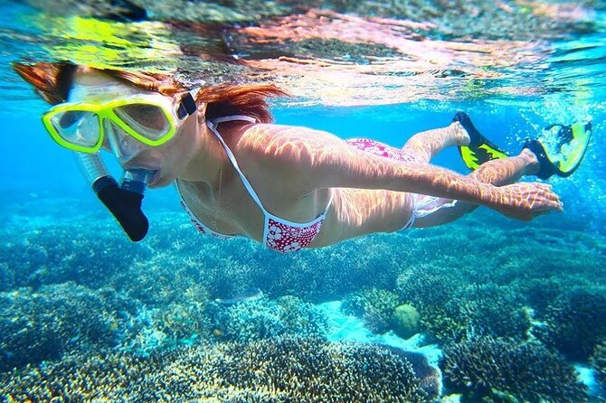 Bali Snorkeling at Blue Lagoon With Lunch And Private Transport - Pricing and Booking Details