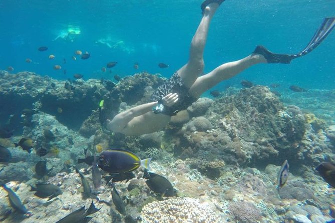 Bali Snorkeling Tour at Blue Lagoon Beach - All-Inclusive - Traveler Reviews and Ratings