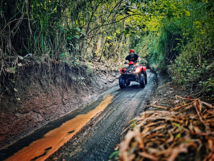 Bali: Ubud Gorilla Cave Track ATV & Waterfall Tour With Meal - Experience Highlights