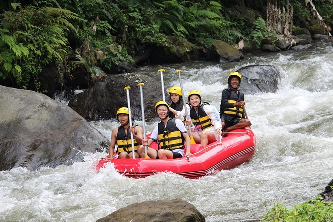 Bali White Water Rafting With Lunch - Pricing and Inclusions
