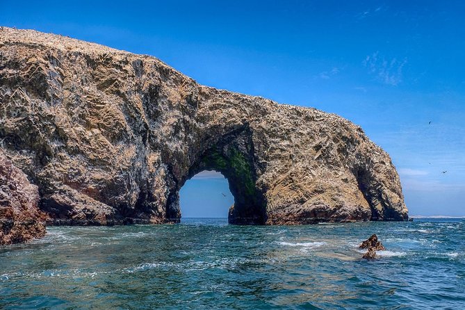 Ballestas Islands and Paracas Reserve From San Martin Port - Additional Information