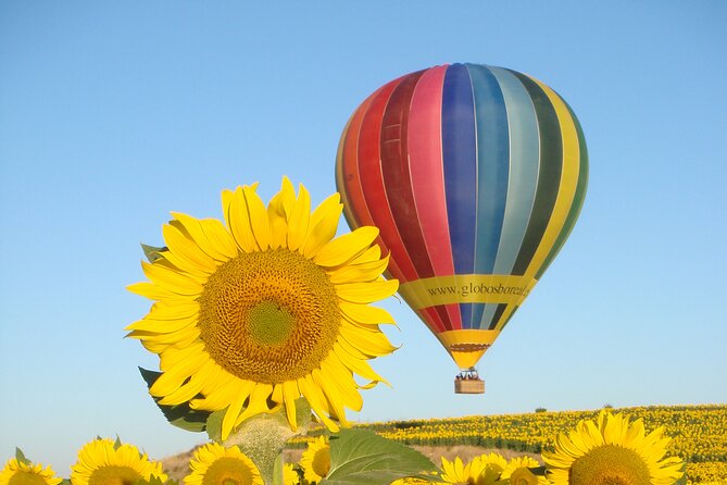 Balloon Rides in Segovia With Optional Transportation From Madrid - Cancellation Policy