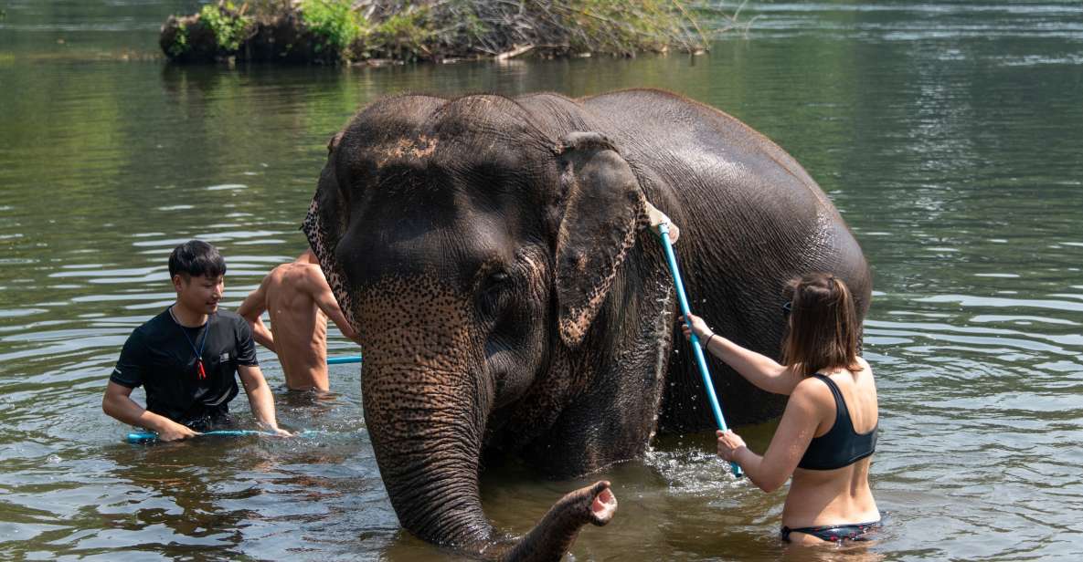 Bangkok: Elephant Sanctuary & Erawan Waterfall Tour - Experience
