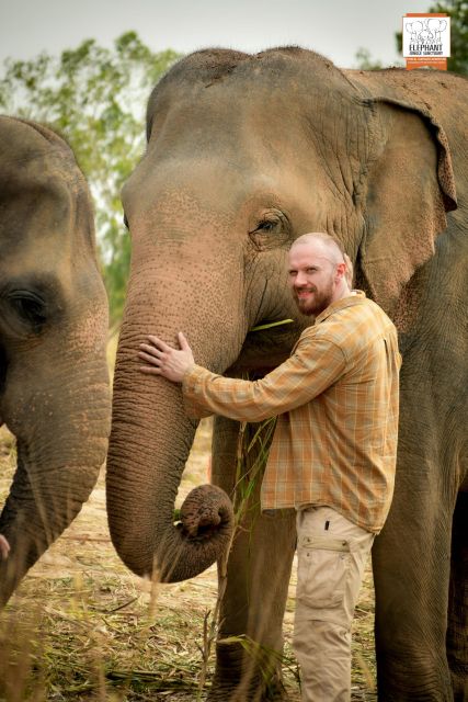 Bangkok: Pattaya Elephant Jungle Sanctuary Half-Day Tour - Experience Highlights