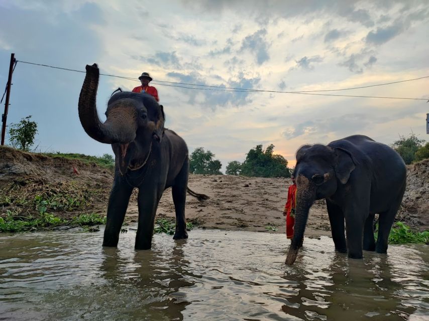 Bangkok: Private Trip to Ayutthaya Temples & Night Market - Experience Highlights