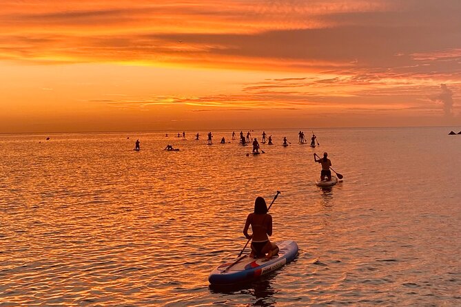 Barcelona: Stand Up Paddle Board Tour - Participant Guidelines