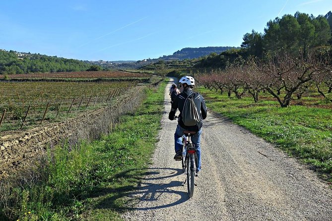 Barcelona: Wine E-Bike Half Daytour in Penedès - Tour Highlights & Prices