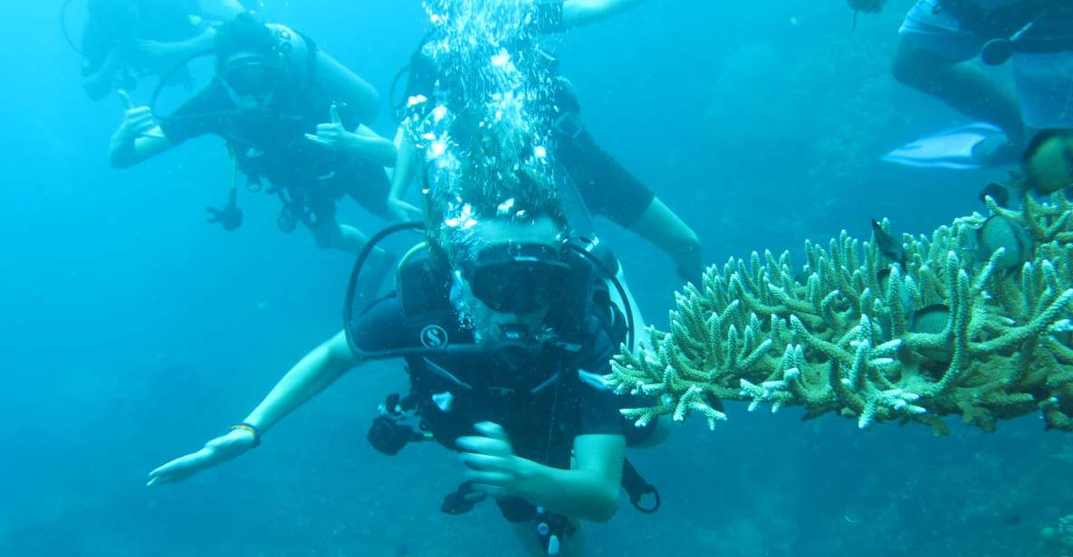 Basic Fun Dive At Menjangan Island - Booking Tips