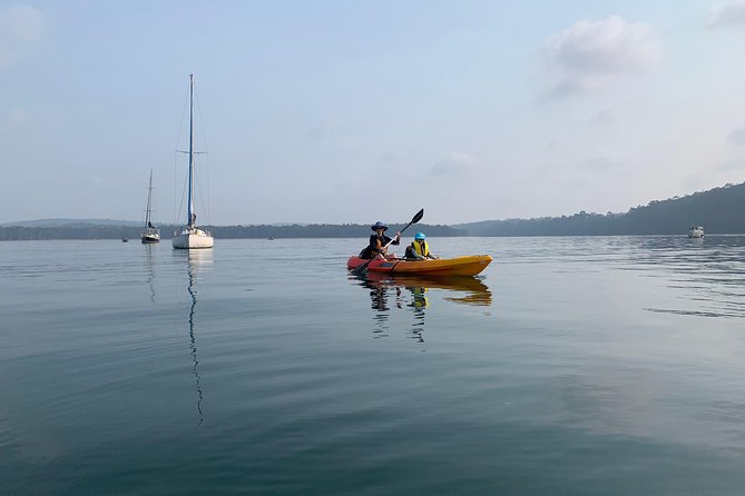 Batemans Bay Glass-Bottom Kayak Tour Over 2 Relaxing Hours - Additional Information for Participants