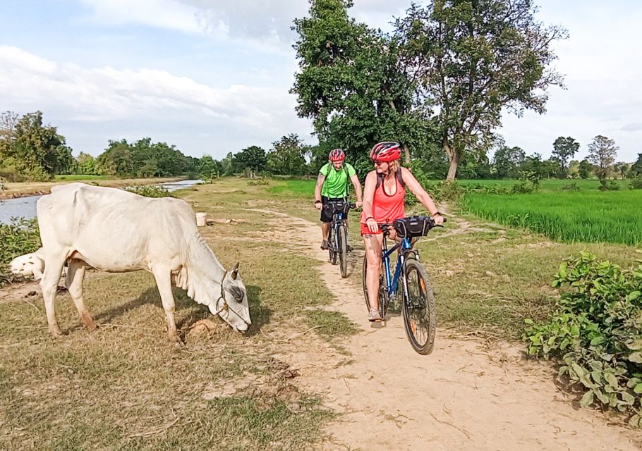 Battambang: Full-Day Countryside Cycling Tour With Lunch - Experience Highlights