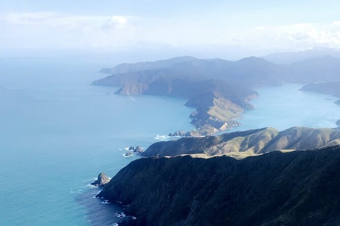 Bay of Many Coves Helicopter Tour With 3-Course Lunch From Wellington - Accessibility and Policies