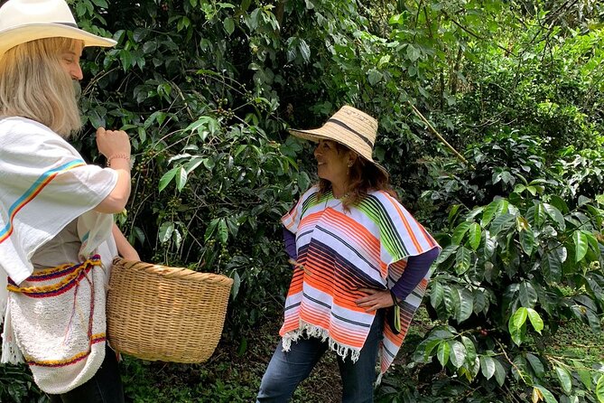 Be a Farmer for One Day (Coffee Farm Experience) - Reviews and Ratings