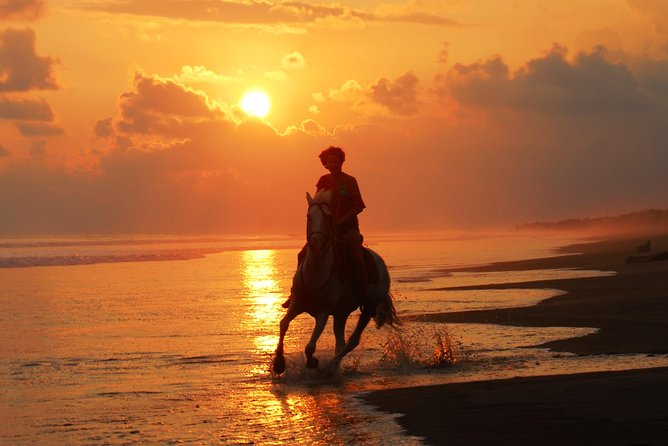 Beachfront Horseback Riding Tour From Quepos  - Jaco - Inclusions