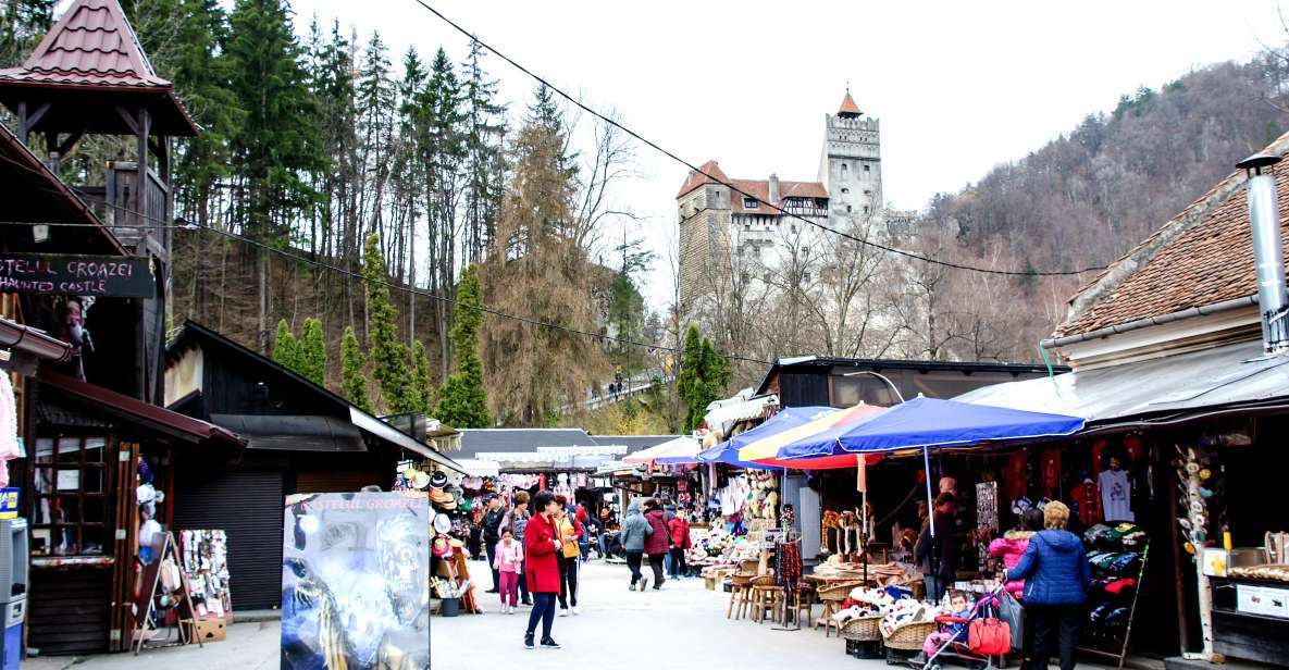 Bear Sanctuary & Bran Castle & Airport OTP From Brasov - Experience Highlights in Transylvania