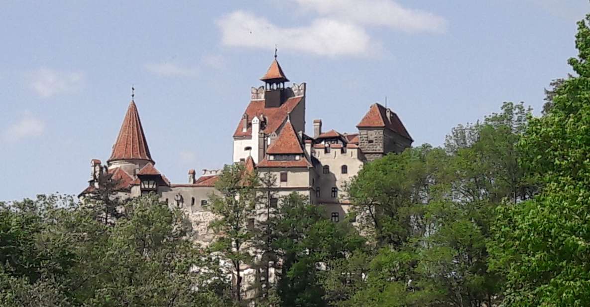 Bear Sanctuary-Bran Castle-Rasnov Fortress From Brasov - Experience