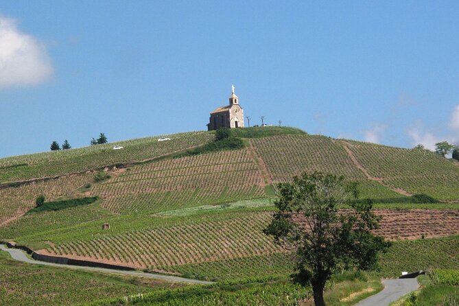 Beaujolais Region Wine Tasting Private Day Tour From Lyon - Pricing and Booking Information