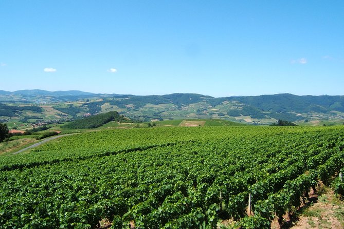 Beaujolais Wine Discovery - Half Day - Small Group Tour From Lyon - Inclusions and Amenities