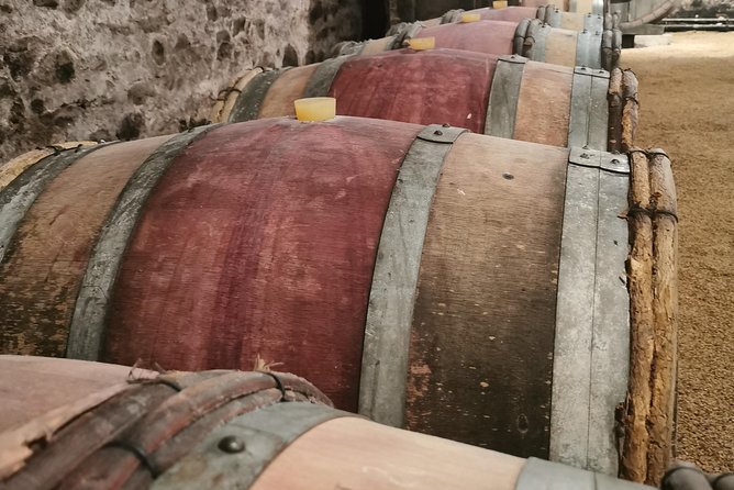 Beaujolais Wine Tasting Day Tour From Lyon - Pricing and Booking Details