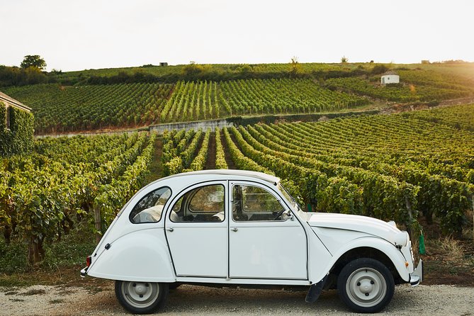 Beaune Small-Group Burgundy Wine Tasting and Estate Tour - Accessibility and Tour Policies