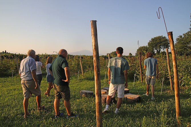 Beekeeping Farm Tour and Tasting Experience in Lazise - Booking Information