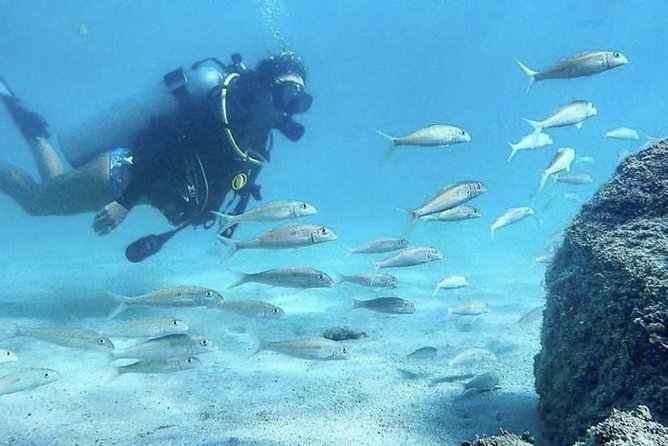 Beginner Scuba Diving Adventure With Videos in Honolulu - Instructor and Customer Reviews