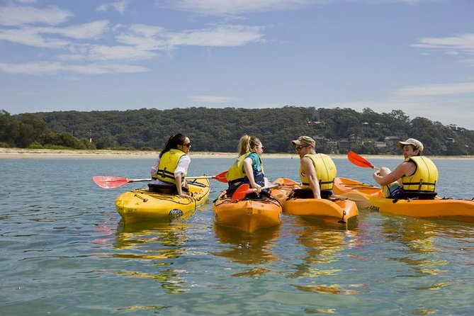 Beginners Kayak Tour in Sydney - Gorgeous Aussie Beaches and Bays - Inclusions and Equipment