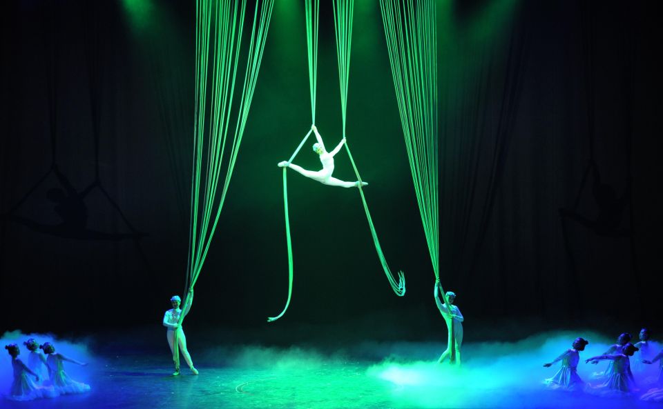 Beijing: Night Tour of Acrobatics Show Including Transfer - Experience Highlights