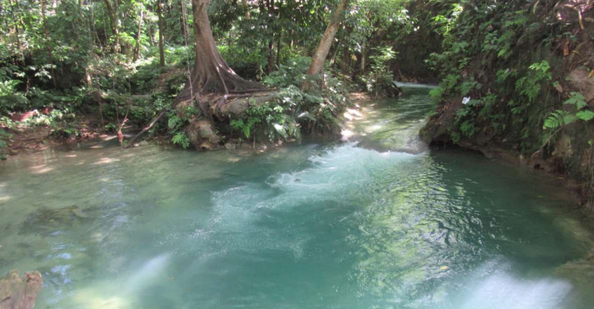 Benta River and Falls With Rick's Cafe Private Tour - Benta River and Falls Highlights