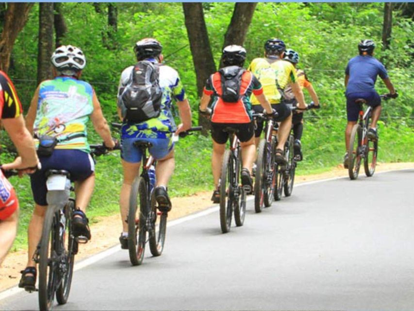 Bentota Bliss: Countryside Cycling Escape - Experience Highlights