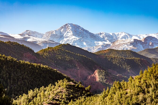 Berber Trails 4WD Tour From Marrakech With Lunch at Tahanaout (Apr ) - Customer Reviews