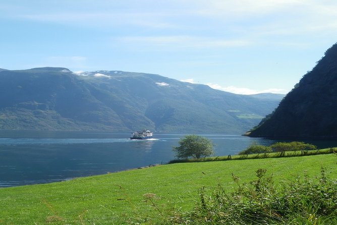 Bergen Private City Meets Fjord Group Tour (Mar ) - Group Size Limit