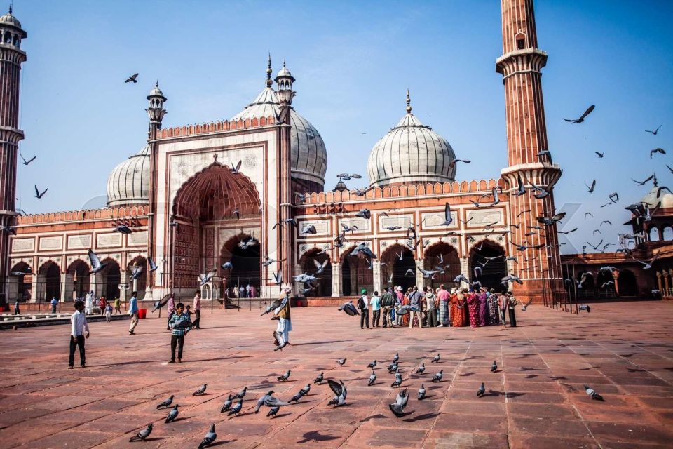 Best 4 to 8 Hour Old and New Delhi City Tour - All Inclusive - Pick-up Locations and Options