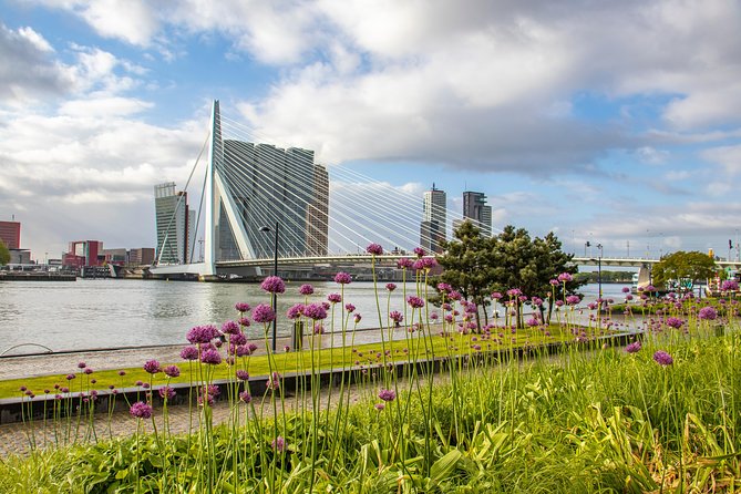 Best Intro Tour of Rotterdam With a Local - Meeting and Pickup Information