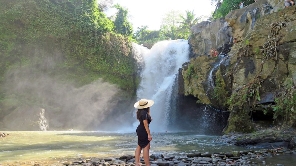 Best of Central Bali: Waterfall, Elephant Cave & Rice Fields - Tour Highlights