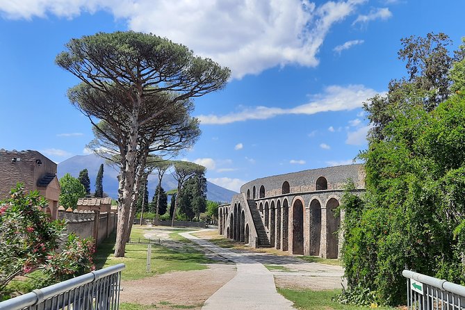 Best of Pompeii - 2 Hour Private Tour With Alex - Ticket Information