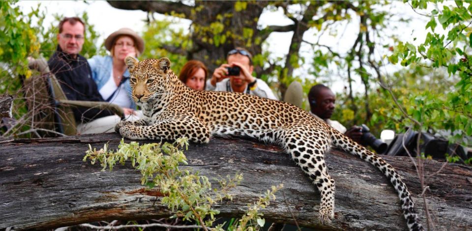 Best of South Africa 15 Day Tour Cape Town to Johannesburg - Nature Reserves and Game Drives