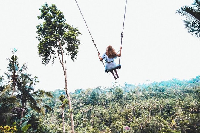 Best of Ubud Full-Day Tour With Jungle Swing - Customer Reviews and Feedback