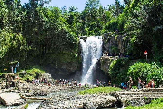 Best of Ubud Private Day Tour - Booking and Inclusions