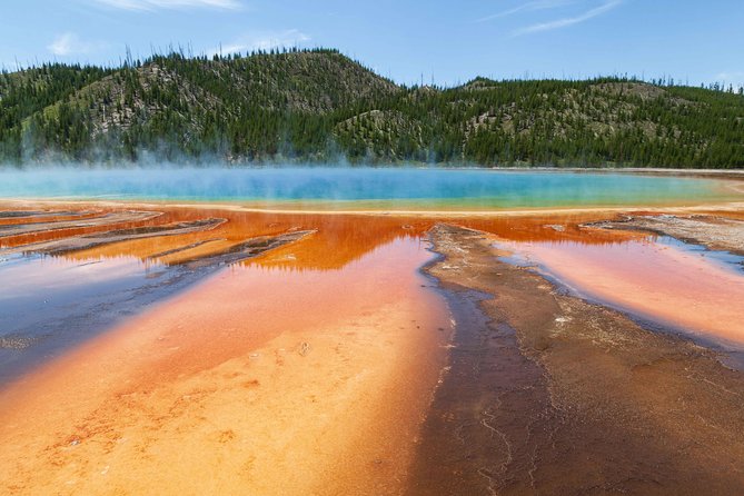 Best of Yellowstone - Guided National Park Safari Tour - Minimum Age and Accessibility