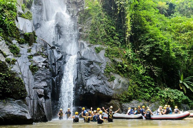Best White Water Rafting With Lunch and Private Transfer in Bali - Enjoy Scenic Views Along Ayung River