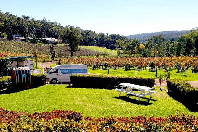 Bickley Valley Wine & Cider Tour - Premium Small Group Tour - Customer Reviews